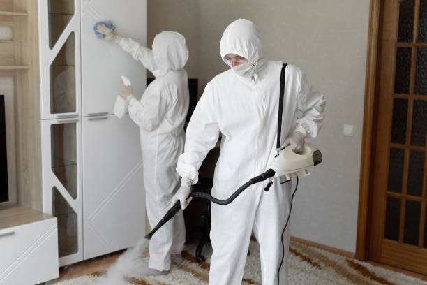 24/7 Emergency Odor Removal experts in Charleston, AR
